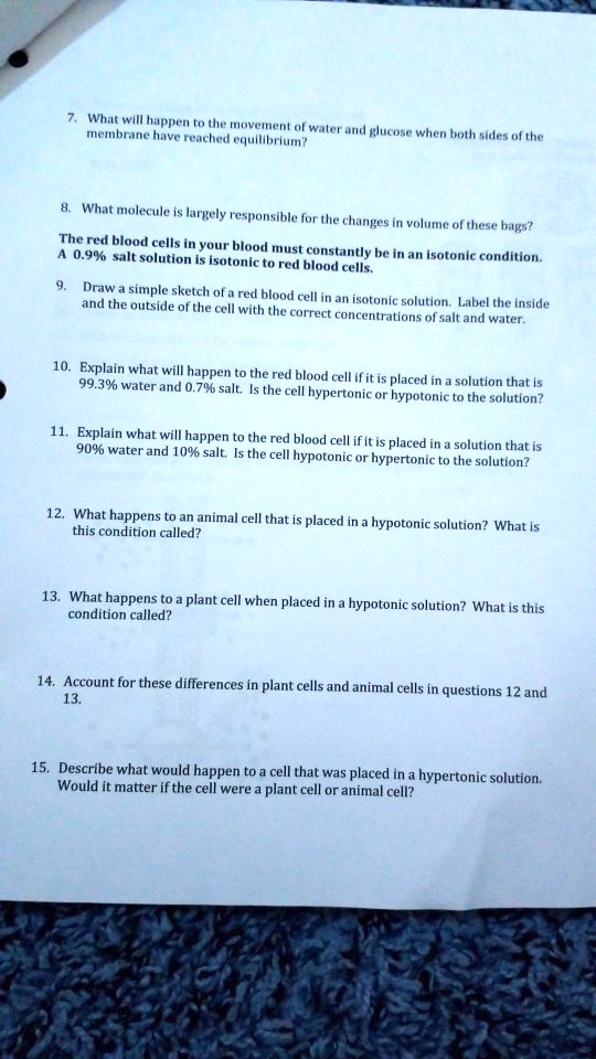 SOLVED: What wIll happen the moveInent of waler MCmDn mnve JIt Klucost when rexched equilibiumn? Toth sudes ofthe What molecule is largely responsible for the = changes voluane ofthese h;gs? The red SOLVED: What wIll happen the moveInent of waler MCmDn mnve JIt Klucost when rexched equilibiumn? Toth sudes ofthe What molecule is largely responsible for the = changes voluane ofthese h;gs? The red