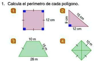 SOLVED: calcula el perímetro de cada poligono Calcula el perimetro de ...