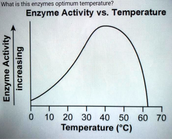 SOLVED What is this enzymes optimum temperature? Enzyme Activity vs