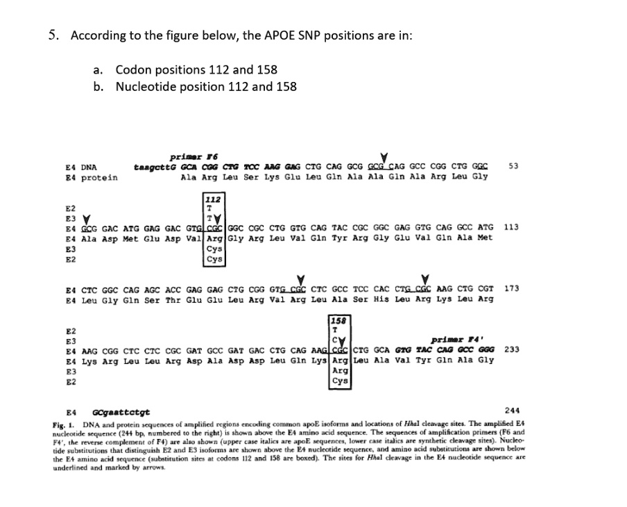 5. According to the figure below, the APOE SNP positions are in: a ...
