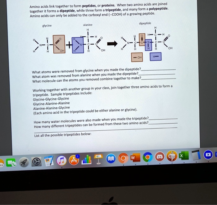 SOLVED Forming peptides and proteins When two amino acids are joined