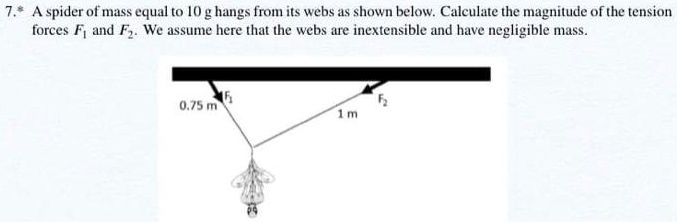 7.* A spider of mass equal to 10 g hangs from its webs as shown below. Calculate the magnitude of the tension forces F1 and F2. We assume here that the webs are inextensible and have negligible mass. F1 0.75 m 1 m F2