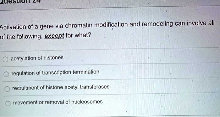Activation of a gene via chromatin modification and remodeling can involve all of the following, except for what?

acetylation of histones
regulation of transcription termination
recruitment of histone acetyl transferases
movement or removal of nucleosomes
