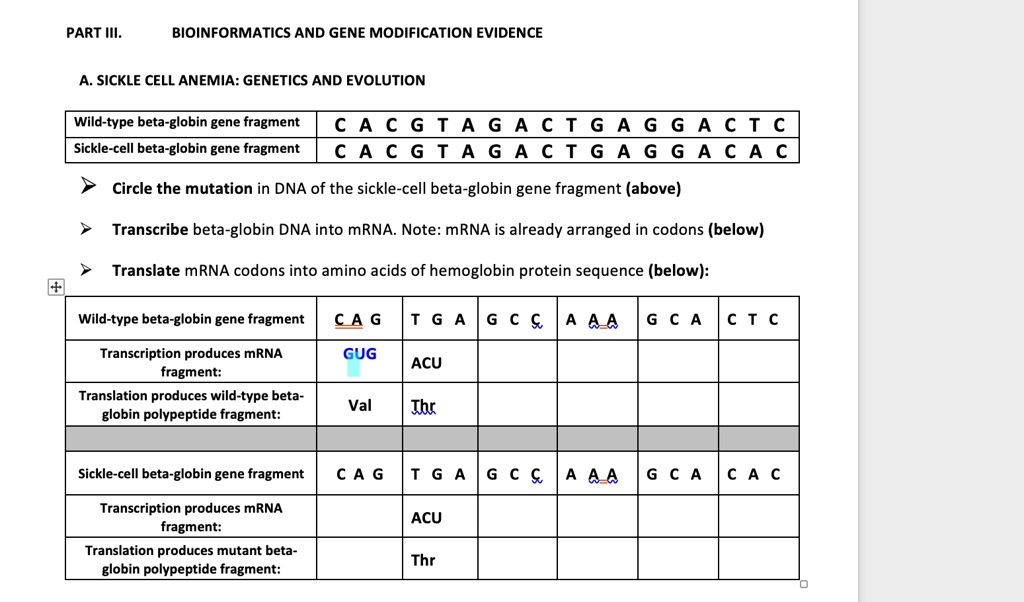 SOLVED: Texts: PART III. BIOINFORMATICS AND GENE MODIFICATION EVIDENCE ...