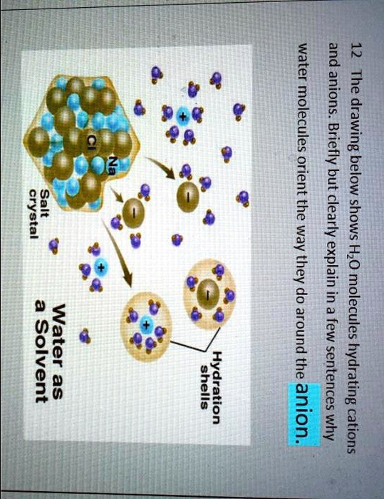 SOLVED: water 12 and anions The H orient but below 3 