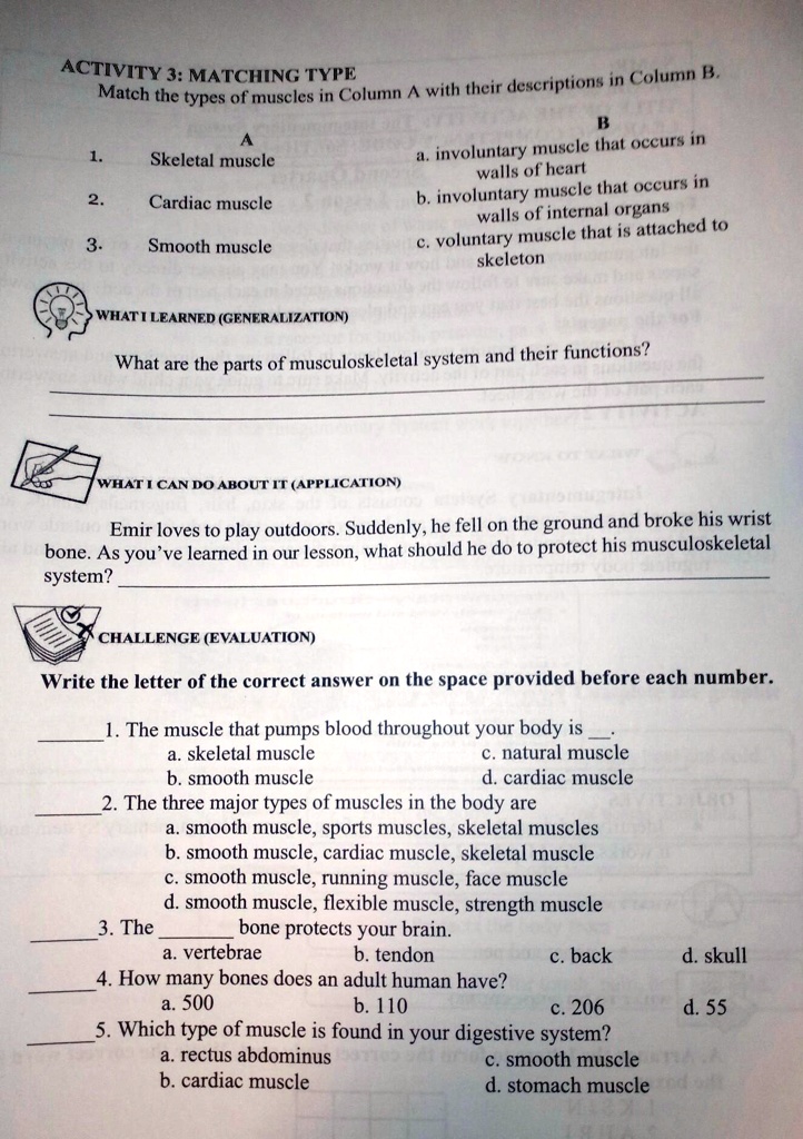 SOLVED: Can you answer, please? ACTIVITY 3: MATCHING TYPE with their ...