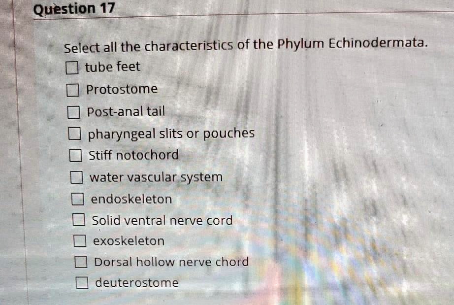 SOLVED Select all the characteristics of the Phylum Echinodermata