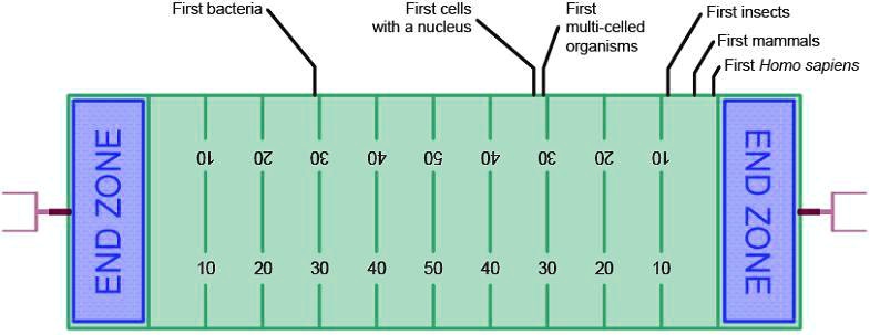Solved The Diagram Shows A Football Field That Represents A Geological Time Scale Why Are No Organisms Labeled Between The End Zone And 30 Yard Line On The Left Side Of The Field
