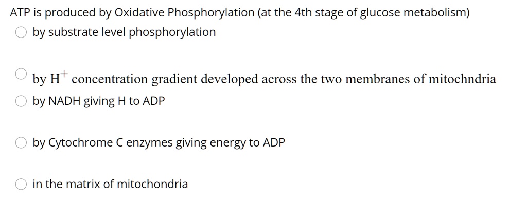 ATP is produced by Oxidative Phosphorylation (at the 4th stage of glucose metabolism)
by substrate level phosphorylation
by H+ concentration gradient developed across the two membranes of mitochndria
by NADH giving H to ADP
by Cytochrome C enzymes giving energy to ADP
in the matrix of mitochondria