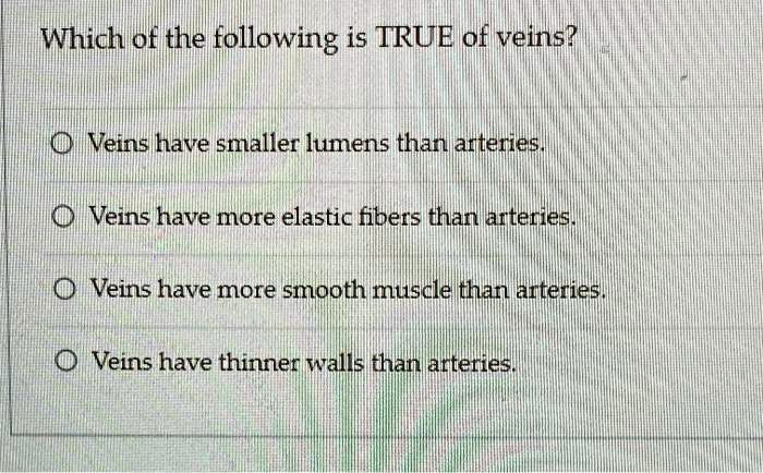 Which Of The Following Is True Of Veins