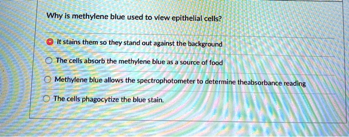 Why is methylene blue used to view epithelial cells?

It stains them so they stand out against the background
The cells absorb the methylene blue as a source of food
Methylene blue allows the spectrophotometer to determine theabsorbance reading
The cells phagocytize the blue stain.