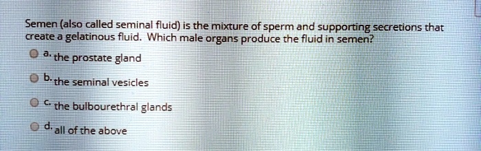 Semen (also called seminal fluid) is the mixture of sperm and supporting secretions that create a gelatinous fluid. Which male organs produce the fluid in semen?
a. the prostate gland
b. the seminal vesicles
c. the bulbourethral glands
d. all of the above