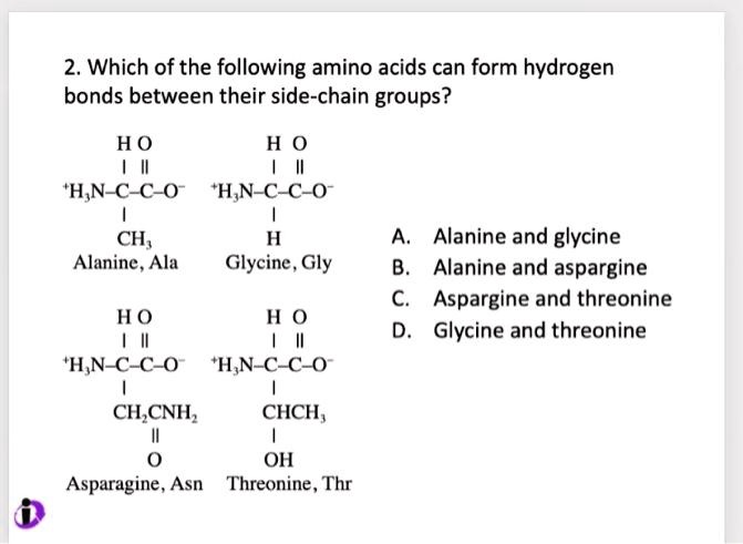 2. Which of the following amino acids can form hydrogen bonds between their side-chain groups?

HO
|
|| 
+H3N—C—C—O-
|
CH3
Alanine, Ala

HO
|
|| 
+H3N—C—C—O-
|
H
Glycine, Gly

A. Alanine and glycine
B. Alanine and aspargine
C. Aspargine and threonine
D. Glycine and threonine

HO
|
|| 
+H3N—C—C—O-
|
CH2CNH2
||
O
Asparagine, Asn

HO
|
|| 
+H3N—C—C—O-
|
CHCH3
|
OH
Threonine, Thr
