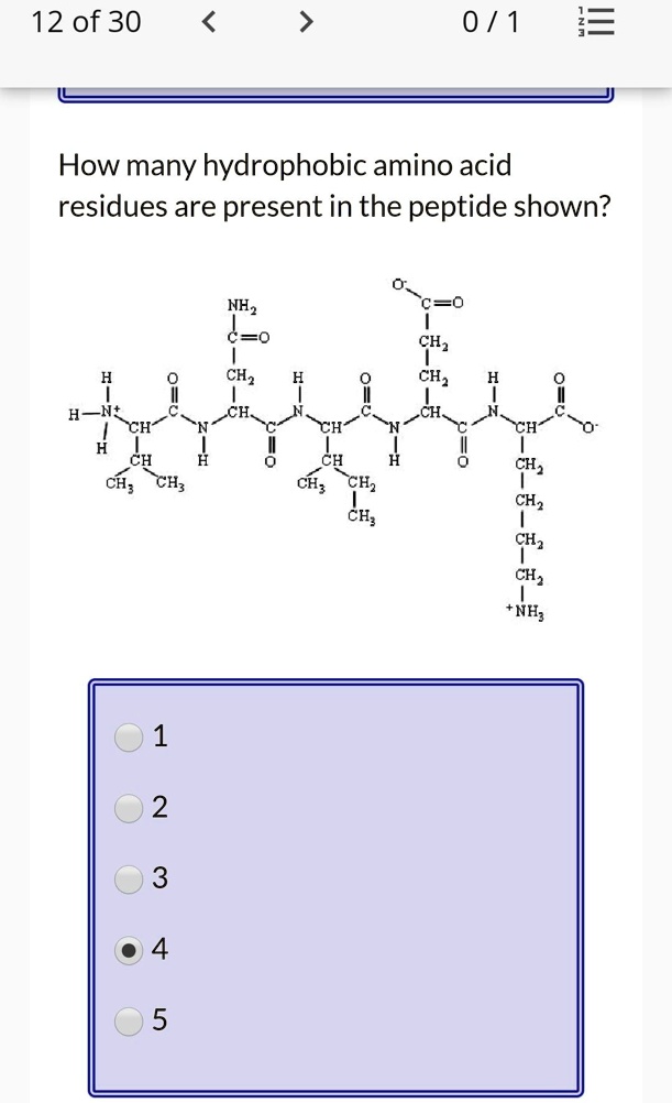 SOLVED: iii 12 of 30 0 / 1 How many hydrophobic amino acid residues are ...