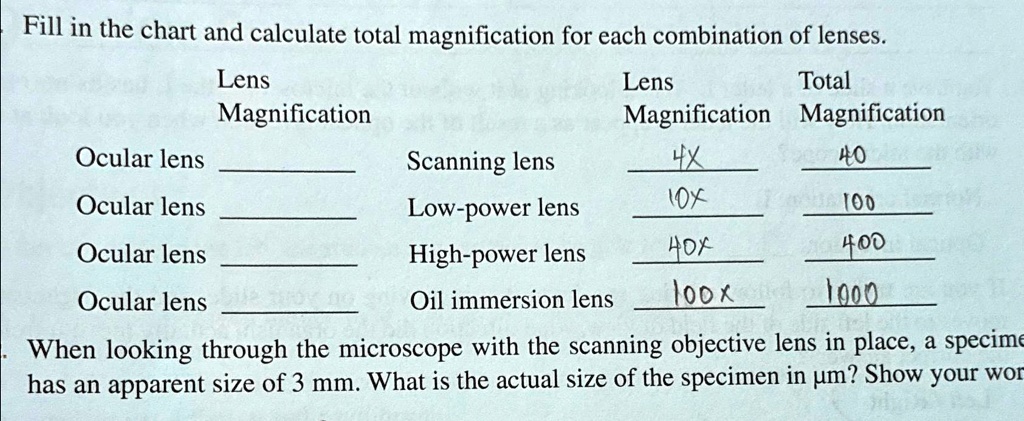 SOLVED: Fill in the chart and calculate total magnification for each ...