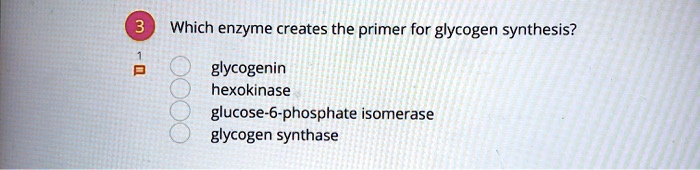 Which enzyme creates the primer for glycogen synthesis?

glycogenin
hexokinase
glucose-6-phosphate isomerase
glycogen synthase