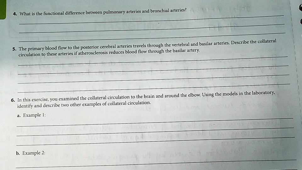 4. What is the functional difference between pulmonary arteries and ...