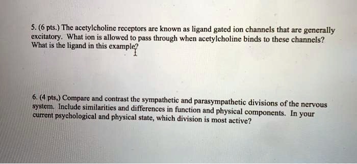 5. (6 pts.) The acetylcholine receptors are known as ligand gated ion channels that are generally excitatory. What ion is allowed to pass through when acetylcholine binds to these channels? What is the ligand in this example?
6. (4 pts,) Compare and contrast the sympathetic and parasympathetic divisions of the nervous system. Include similarities and differences in function and physical components. In your current psychological and physical state, which division is most active?