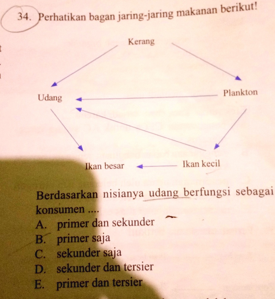 Solved Tolong Dong Bingung Makasih Perhatikan Bagan Jaring Jaring