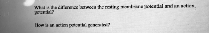 What is the difference between the resting membrane potential and an action potential?

How is an action potential generated?