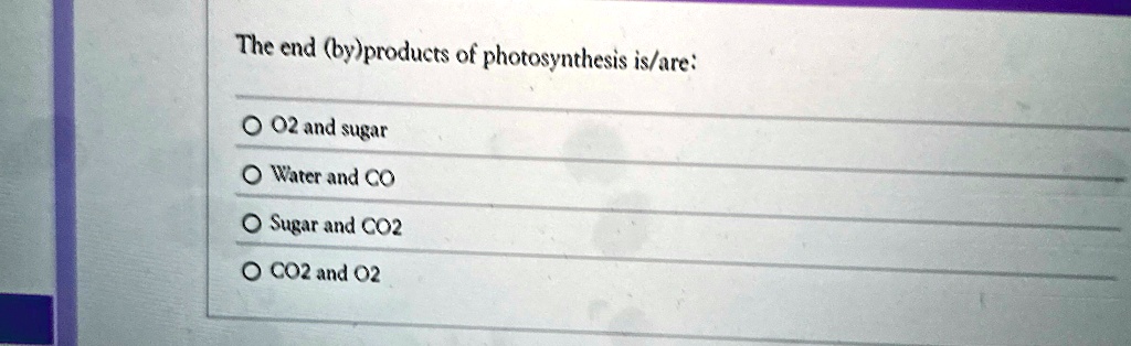 The end (by)products of photosynthesis is/are:
O O2 and sugar
Water and CO
Sugar and CO2
O CO2 and O2