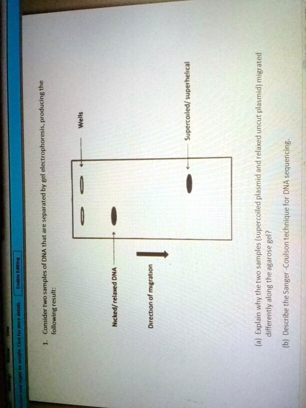 SOLVED migrated uncut plasmid) elaxed sequencing; plasmid DNA for