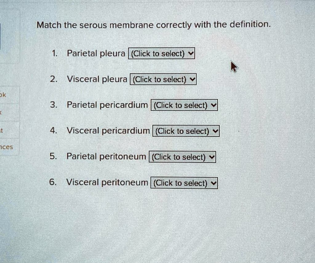 This Serous Membrane Could Save Your Life Parietal Pleura Facts - u7xf4yz