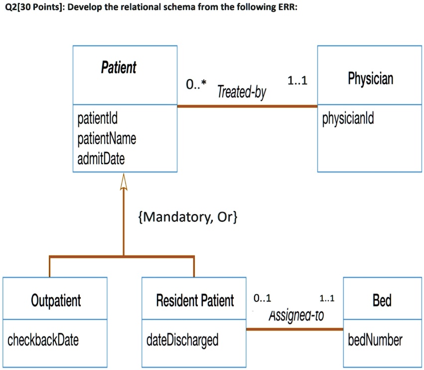 Schema of patients in the study.
