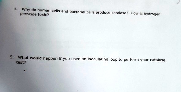 solved-why-do-human-cells-and-bacterlal-peroxide-toxic-cells-produce