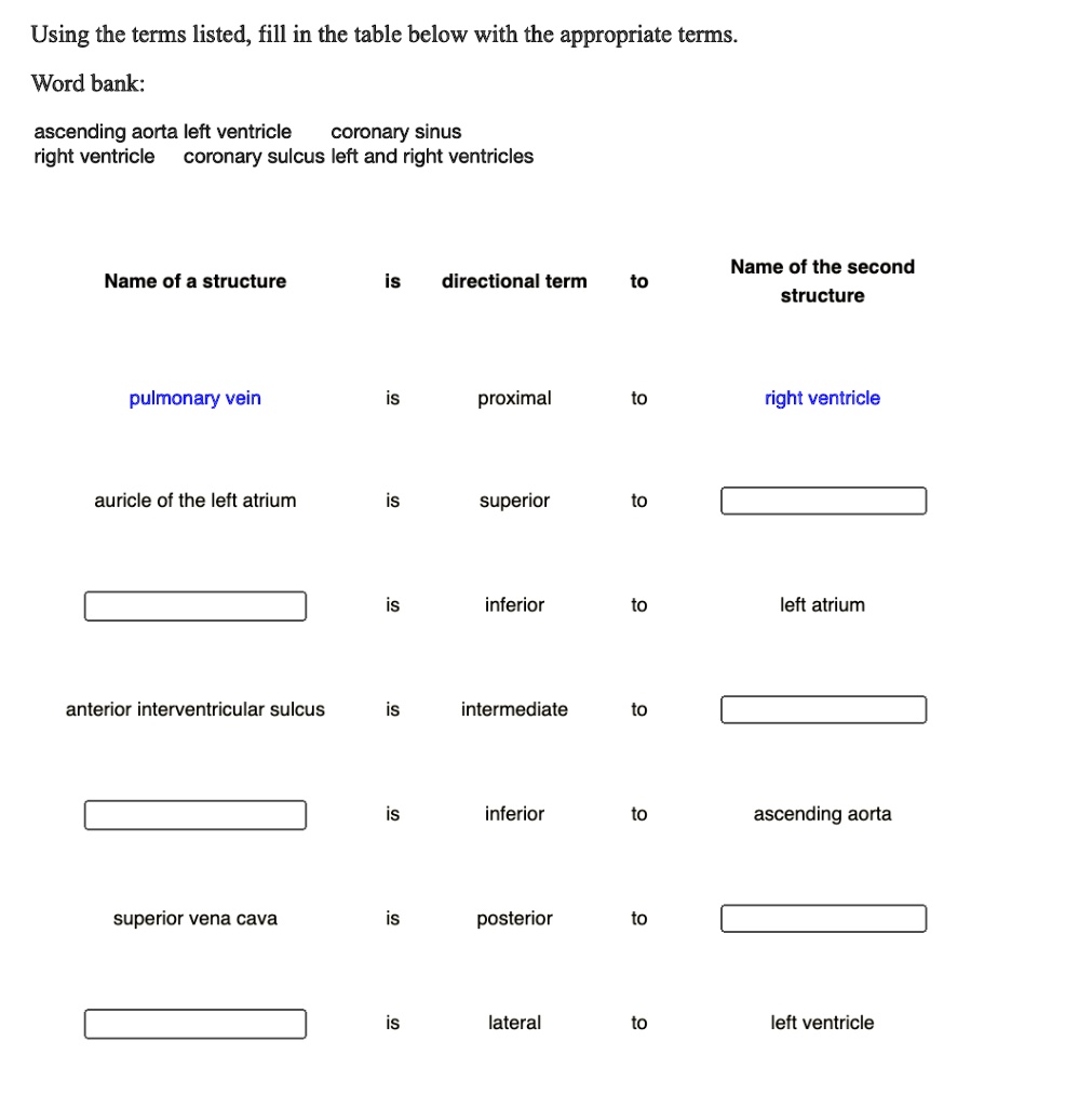 SOLVED: Using the terms listed, fill in the table below with the appropriate terms. Word bank ...