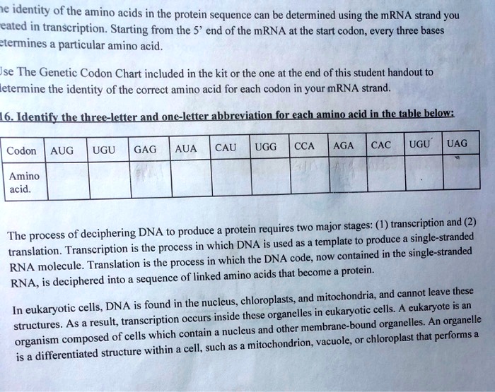 SOLVED identity of the amino acids in the protein sequence can be