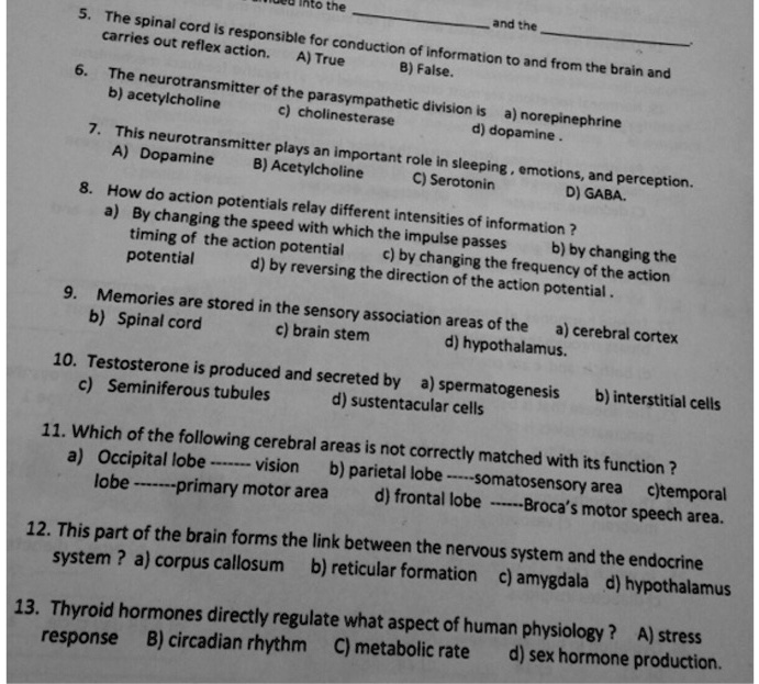 5. The spinal cord is responsible for conduction of information to and from the brain and
carries out reflex action. A) True B) False.
6. The neurotransmitter of the parasympathetic division is a) norepinephrine
b) acetylcholine c) cholinesterase d) dopamine.
7. This neurotransmitter plays an important role in sleeping, emotions, and perception.
A) Dopamine B) Acetylcholine C) Serotonin D) GABA.
8. How do action potentials relay different intensities of information?
a) By changing the speed with which the impulse passes b) by changing the
timing of the action potential c) by changing the frequency of the action
potential d) by reversing the direction of the action potential.
9. Memories are stored in the sensory association areas of the a) cerebral cortex
b) Spinal cord c) brain stem d) hypothalamus.
10. Testosterone is produced and secreted by a) spermatogenesis b) interstitial cells
c) Seminiferous tubules d) sustentacular cells
11. Which of the following cerebral areas is not correctly matched with its function ?
a) Occipital lobe —— vision b) parietal lobe —–somatosensory area c)temporal
lobe ——-primary motor area d) frontal lobe ——Broca's motor speech area.
12. This part of the brain forms the link between the nervous system and the endocrine
system ? a) corpus callosum b) reticular formation c) amygdala d) hypothalamus
13. Thyroid hormones directly regulate what aspect of human physiology ? A) stress
response B) circadian rhythm C) metabolic rate d) sex hormone production.