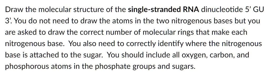 SOLVED: Draw the molecular structure of the single-stranded RNA ...