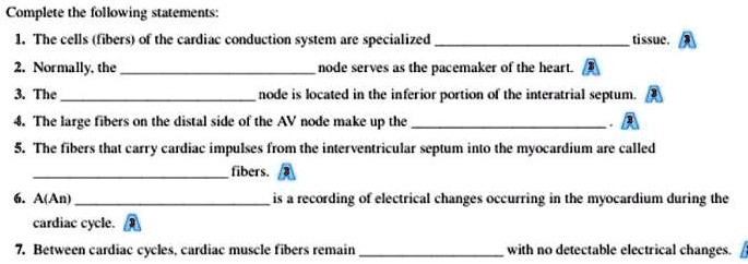 Complete the following statements:
1. The cells (fibers) of the cardiac conduction system are specialized  tissue.
2. Normally, the  node serves as the pacemaker of the heart.
3. The  node is located in the inferior portion of the interatrial septum.
4. The large fibers on the distal side of the AV node make up the .
5. The fibers that carry cardiac impulses from the interventricular septum into the myocardium are called  fibers.
6. A(An)  is a recording of electrical changes occurring in the myocardium during the cardiac cycle.
7. Between cardiac cycles, cardiac muscle fibers remain  with no detectable electrical changes.