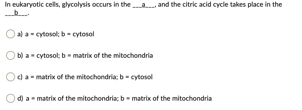 In eukaryotic cells, glycolysis occurs in the a, and the citric acid cycle takes place in the b.

a) a = cytosol; b = cytosol
b) a = cytosol; b = matrix of the mitochondria
c) a = matrix of the mitochondria; b = cytosol
d) a = matrix of the mitochondria; b = matrix of the mitochondria