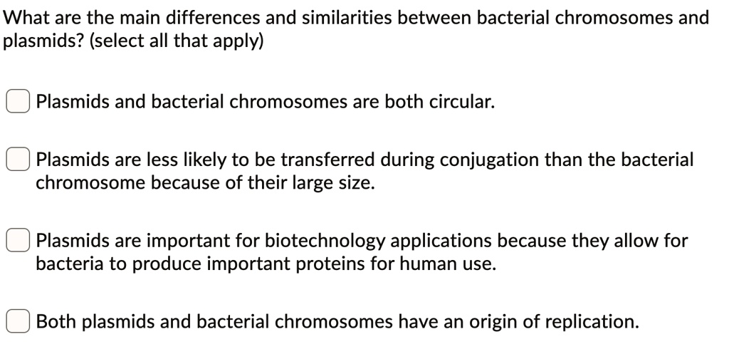 What are the main differences and similarities between bacterial chromosomes and plasmids