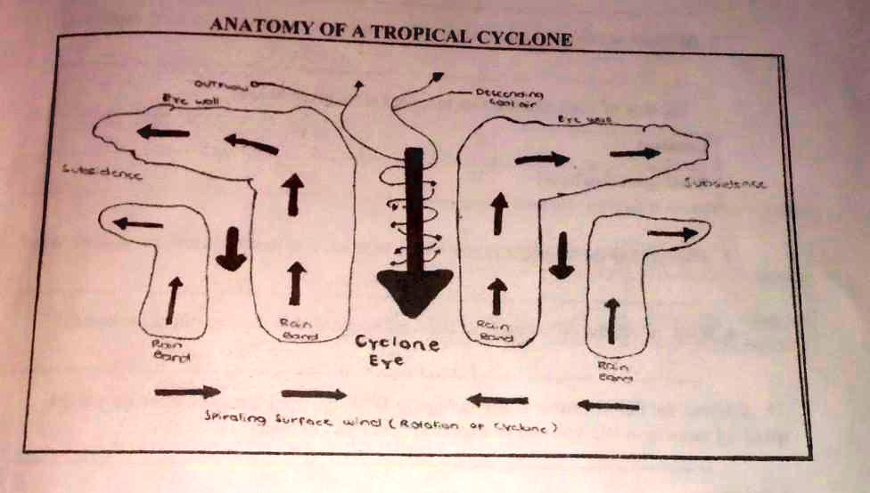 Sutesidence ANATOMY OF A TROPICAL CYCLONE OUTE Ere woll Descending ETL ...