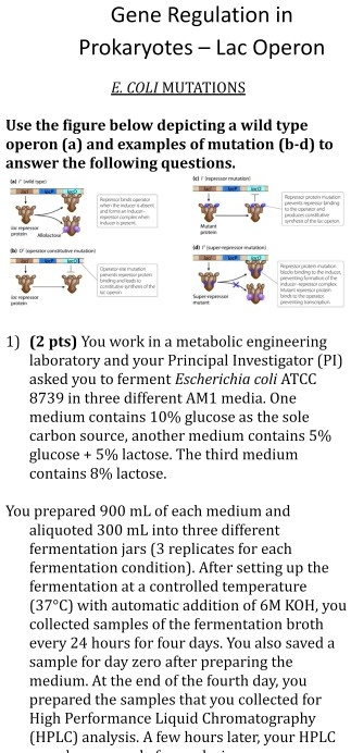 SOLVED: Gene Regulation in Prokaryotes Lac Operon ECOLLMIATIONS Use the ...