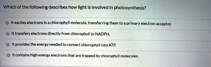 SOLVED: Which of the following describes how light is involved in ...
