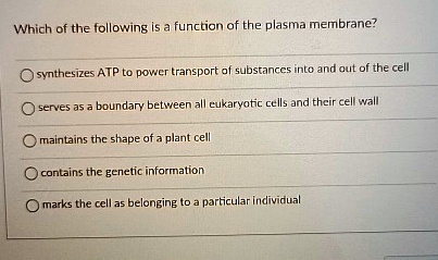 Which of the following is a function of the plasma membrane?
synthesizes ATP to power transport of substances into and out of the cell
serves as a boundary between all eukaryotic cells and their cell wall
maintains the shape of a plant cell
contains the genetic information
marks the cell as belonging to a particular individual
