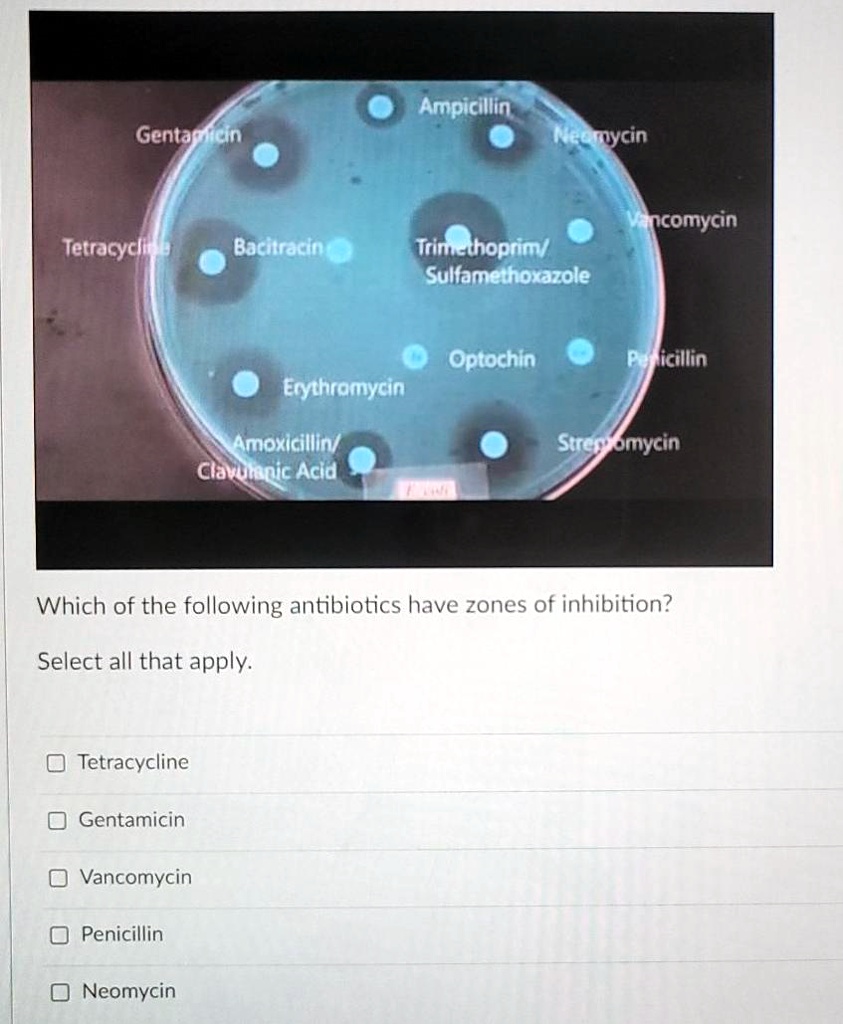 Ampicillin
Gentamicin
Neomycin
Tetracycline
Bacitracin
Trimethoprim/
Sulfamethoxazole
Vancomycin
Optochin
Penicillin
Erythromycin
Amoxicillin/
Clavulanic Acid
Streptomycin

Which of the following antibiotics have zones of inhibition?
Select all that apply.

Tetracycline
Gentamicin
Vancomycin
Penicillin
Neomycin