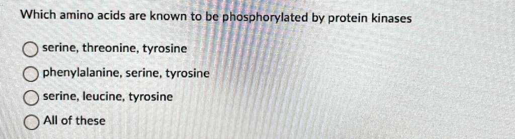 Which amino acids are known to be phosphorylated by protein kinases
serine, threonine, tyrosine
phenylalanine, serine, tyrosine
serine, leucine, tyrosine
All of these