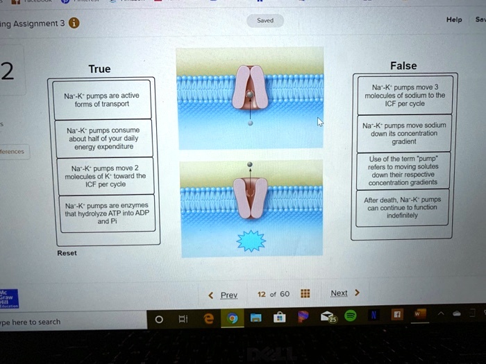 True
Na-K+ pumps are active forms of transport
Na-K+ pumps consume about half of your daily energy expenditure
Na-K+ pumps move 2 molecules of K+ toward the ICF per cycle
Na-K+ pumps are enzymes that hydrolyze ATP into ADP and Pi
False
Na-K+ pumps move 3 molecules of sodium to the ICF per cycle
Na-K+ pumps move sodium down its concentration gradient
Use of the term "pump" refers to moving solutes down their respective concentration gradients
After death, Na-K+ pumps can continue to function indefinitely