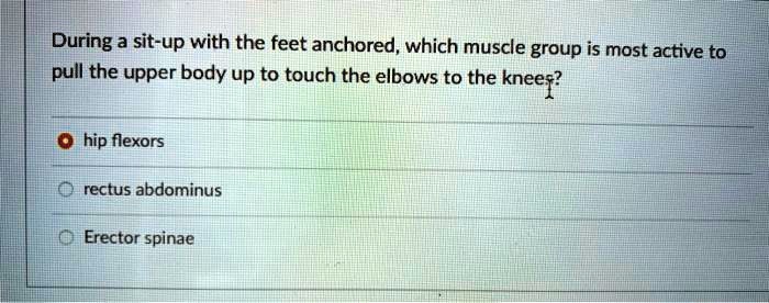 During a sit-up with the feet anchored, which muscle group is most active to
pull the upper body up to touch the elbows to the knees?
hip flexors
rectus abdominus
Erector spinae