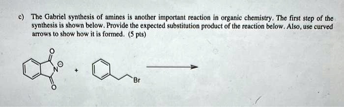 SOLVED: The Gabriel synthesis of amines is another important reaction ...