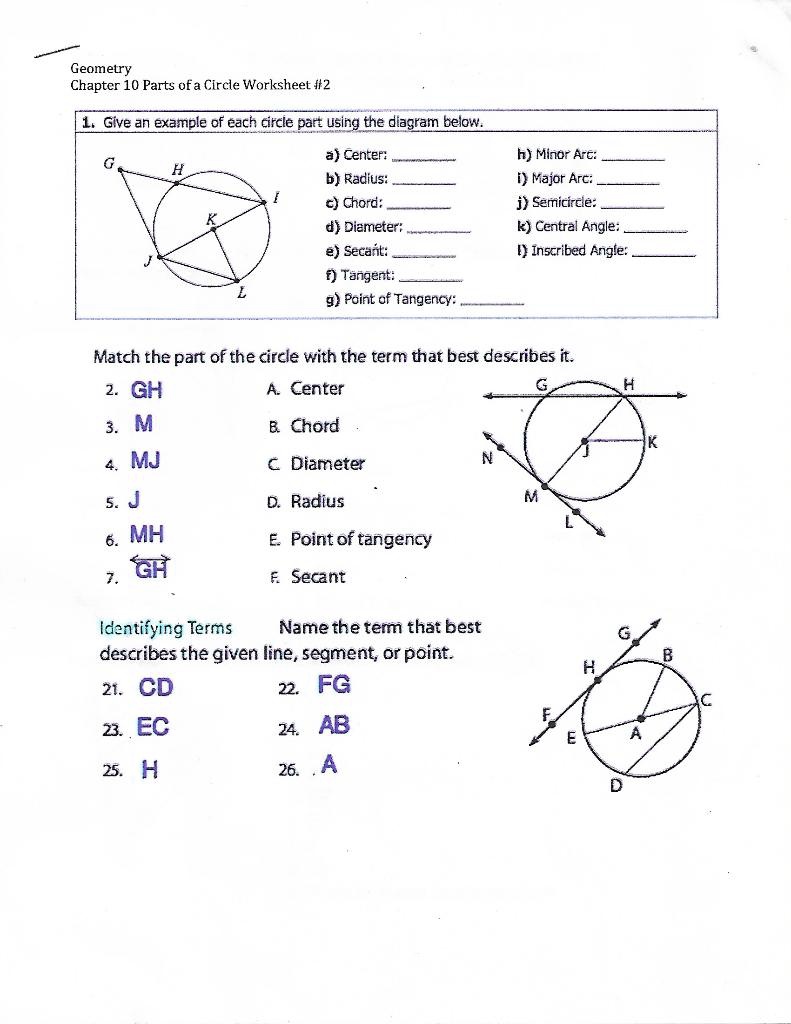 Parts Of A Circle Geometry Worksheets