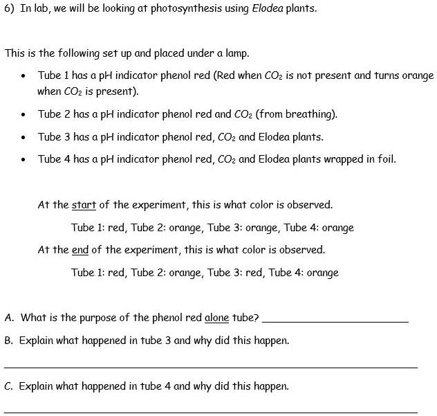 SOLVED6) In lab we will be looking at photosynthesis using Elodea