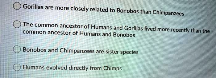 Gorillas are more closely related to Bonobos than Chimpanzees
The common ancestor of Humans and Gorillas lived more recently than the
common ancestor of Humans and Bonobos
Bonobos and Chimpanzees are sister species
Humans evolved directly from Chimps