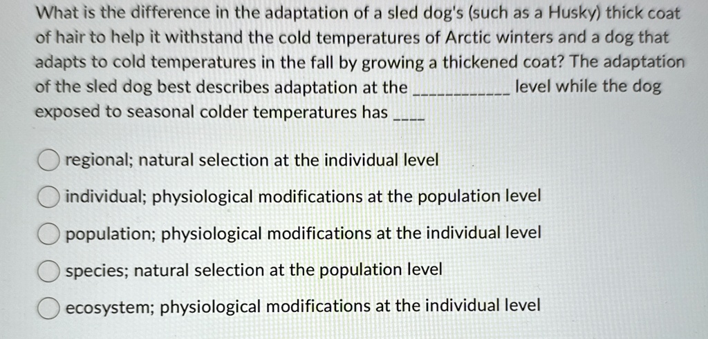 Husky Adaptation What is the difference in the adaptation of a sled dog's (such as a ...