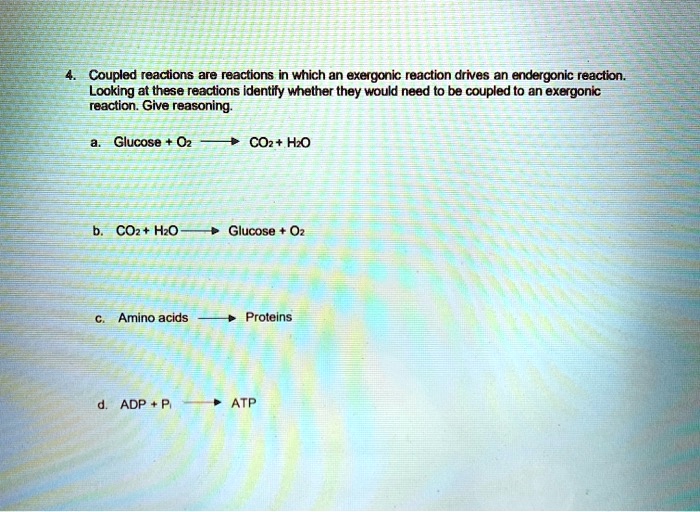 4. Coupled reactions are reactions in which an exergonic reaction drives an endergonic reaction. Looking at these reactions identify whether they would need to be coupled to an exergonic reaction. Give reasoning.

a. Glucose + O2 ? CO2 + H2O

b. CO2 + H2O ? Glucose + O2

c. Amino acids ? Proteins

d. ADP + Pi ? ATP